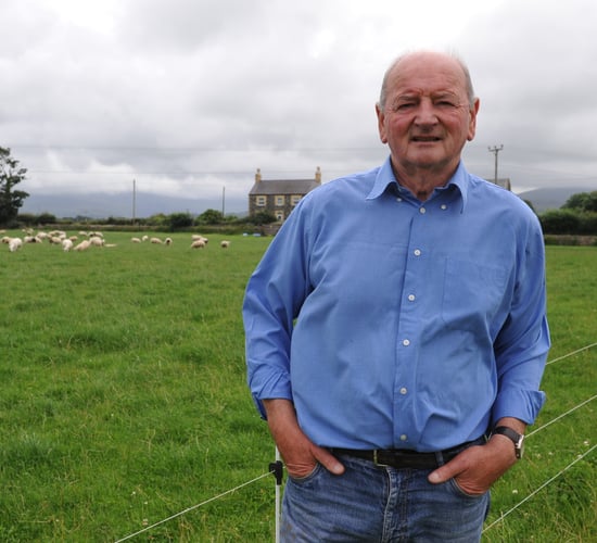 'Convenient and effective' bolus supports performance in high health status flock