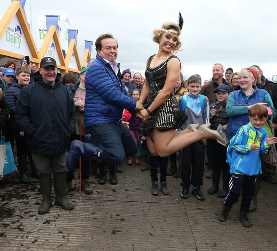 NDC has 'something to please all tastes' at this year's 'Ploughing'