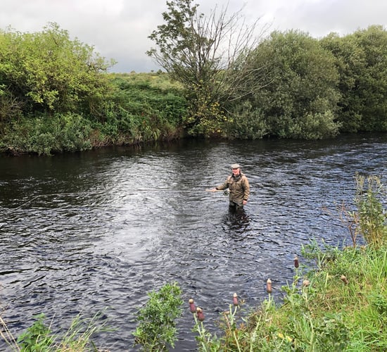 Elevated levels of pesticide found in west Limerick water supply