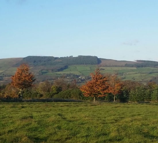 Rathdrum roadside holding enjoys scenic setting