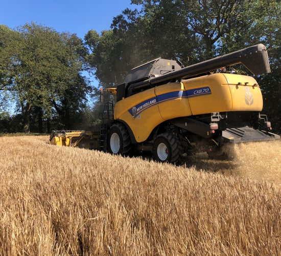 Harvest update: Majority harvested in east Cork