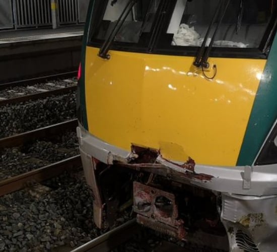 Lengthy delays caused following train collision with cow
