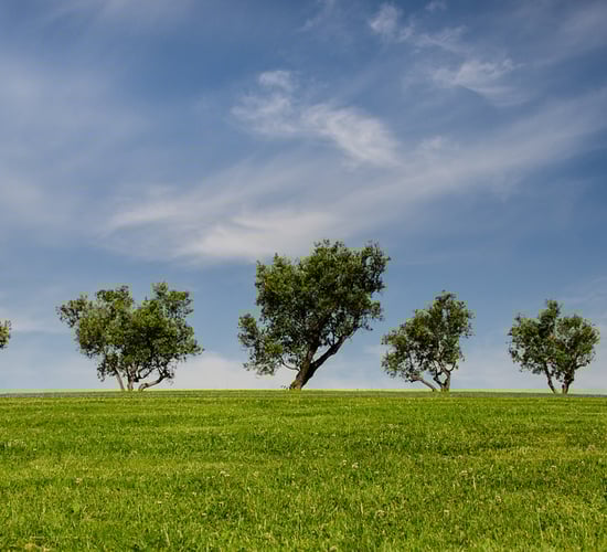 Report: Irish people have high awareness of climate change