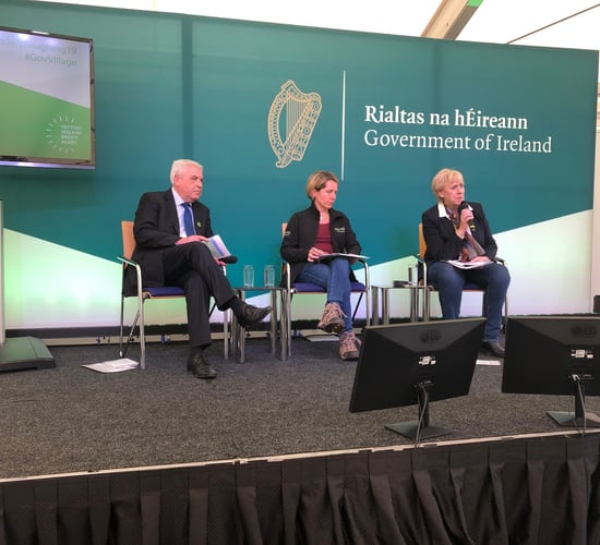 How can Irish agri-food businesses best prepare for Brexit?