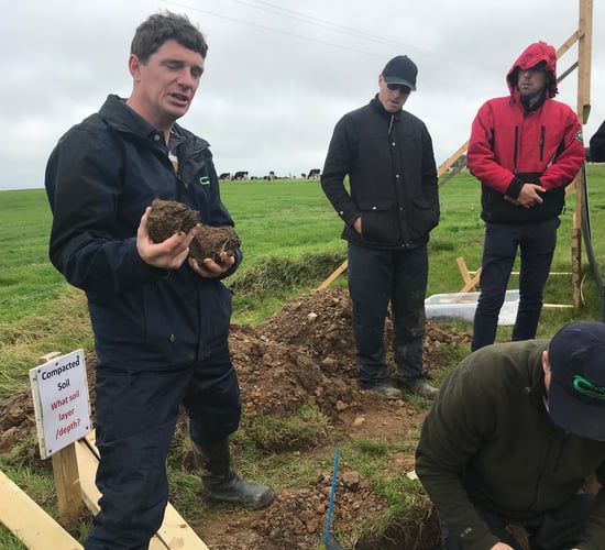 Dig down to see what's going on in your soil
