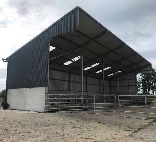Attention to detail evident on Tipperary-based calf-to-beef operation