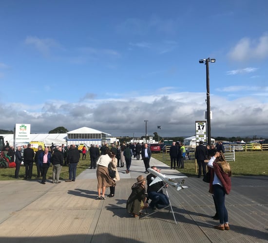 Carlow site 'electric' ahead of 'Ploughing 2019' - McHugh