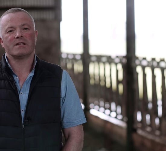 Censortec Nedap CowControl a vital part in Roscommon dairy herd expansion