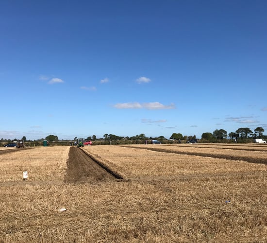 Ploughing results: Ireland wins 5 Nations on day 1
