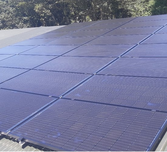 How solar PV can help farmers to reduce their energy costs and carbon emissions