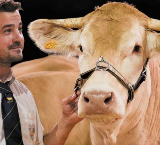 Sommet de l'Elevage livestock show will 'go ahead as planned' in October