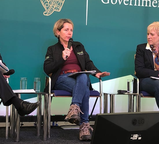 Putting Irish SMEs at the heart of the Brexit matter