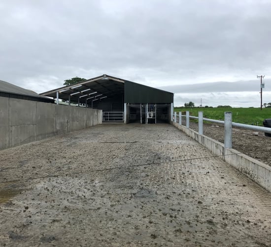 Knackeries to conduct ballot to 'determine best way forward' following talks stalemate