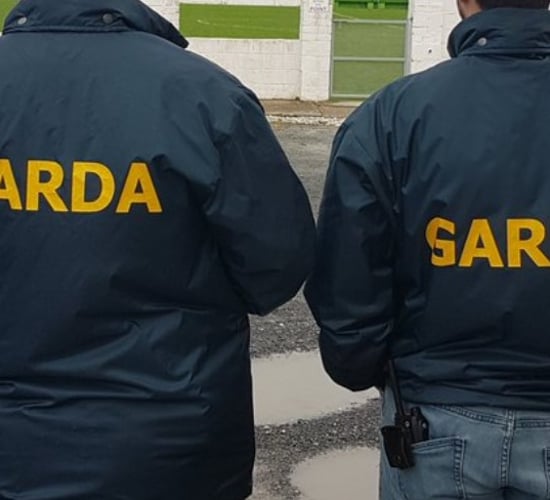 4 arrested following Garda search of meat processor