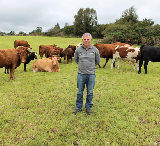 'I've done it all and I can't make a penny' - top performing suckler farmer