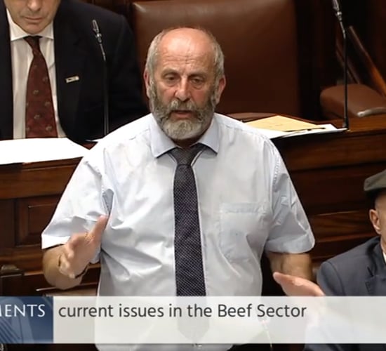 'Calleary's punishment doesn't fit the crime' - Healy-Rae