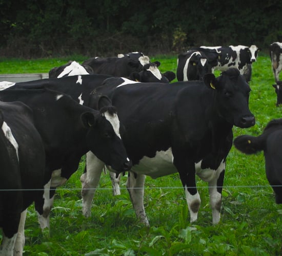 Video: How can I improve the environmental and efficiency performance of my farm?