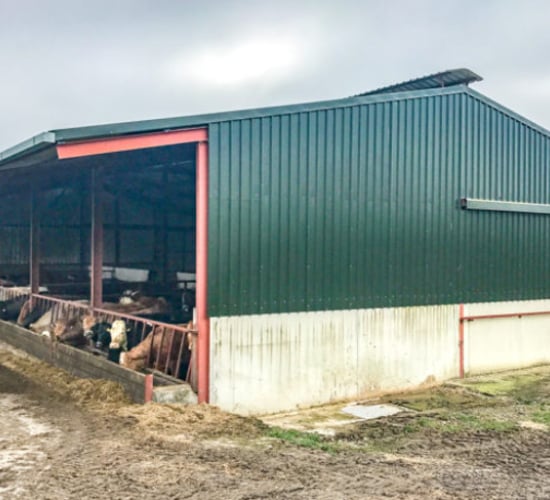 Farmers forced to house: Have you adequate space for your cattle?