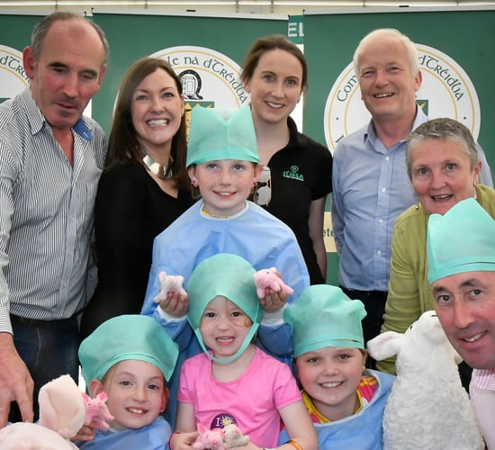 Strategy discussions to the fore for Veterinary Council's first 'Ploughing'