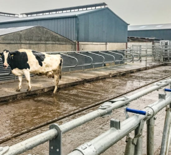Gearing up for winter: Attention turning to getting the farmyard ready