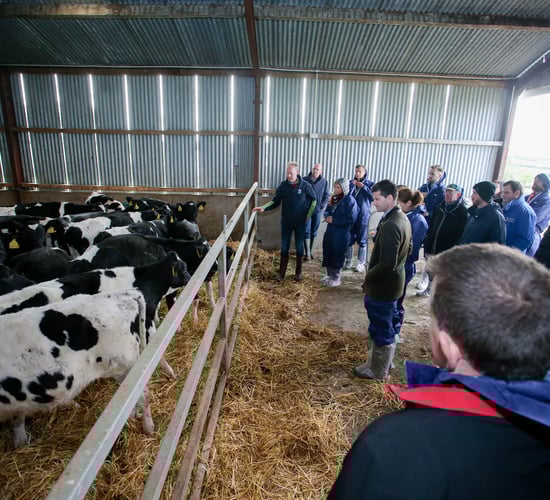 Loughbrickland dairy farmer hosts EU Sustainable Dairy Farm Visit
