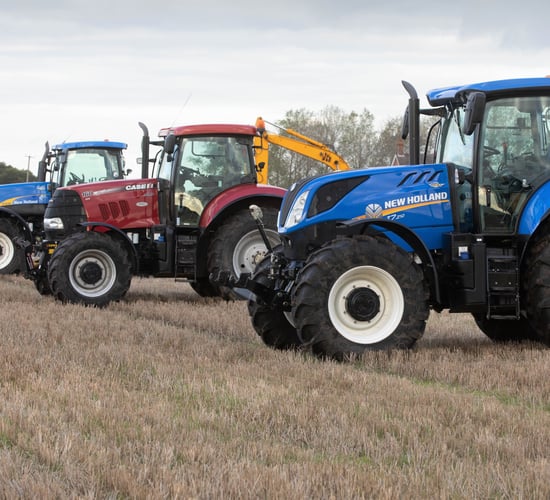 Auction report: 'Blues' and a 'red' sibling go under the hammer