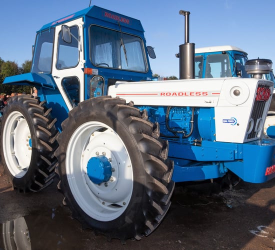 Auction report: Remarkable Roadless sells for £46,000 (plus commission)