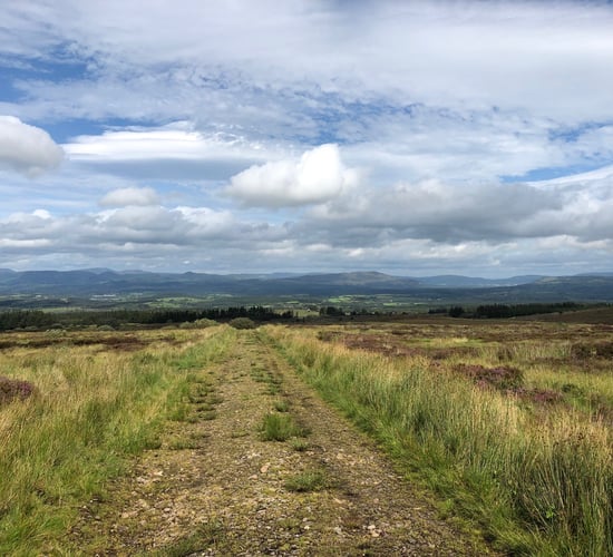 Health and environmental concerns to the fore as battle to stop 5G in Leitrim begins