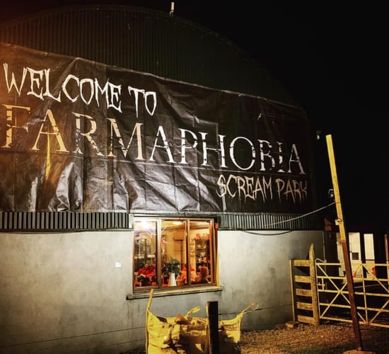 40,000 visitors descend on Meath-based beef and sheep farm over Halloween season