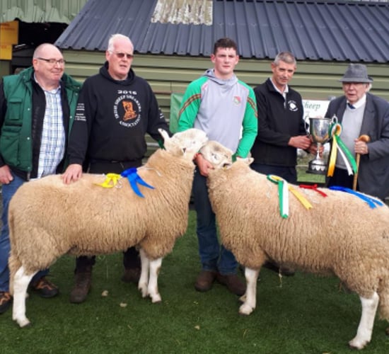 Wicklow Mountain Sheep Breeders’ Association holds 77th annual show and sale