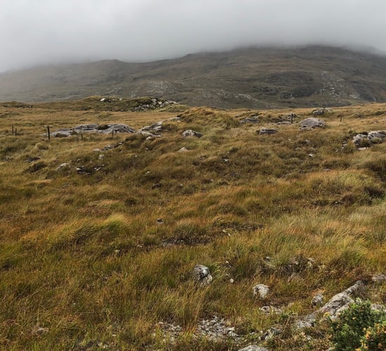 'So, if there is no chance of mining in Connemara, then why is there prospecting?'