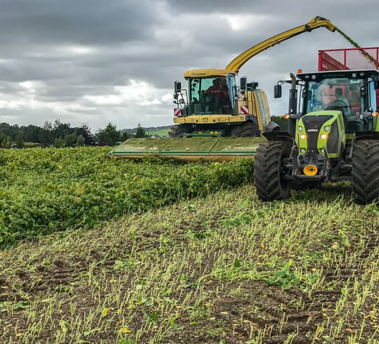 Tillage focus: Wholecrop soybean harvest in Co. Wicklow