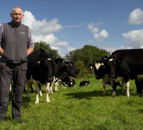 Cultivate loans: Co. Limerick dairy farmer finds 'no stress involved in it whatsoever'