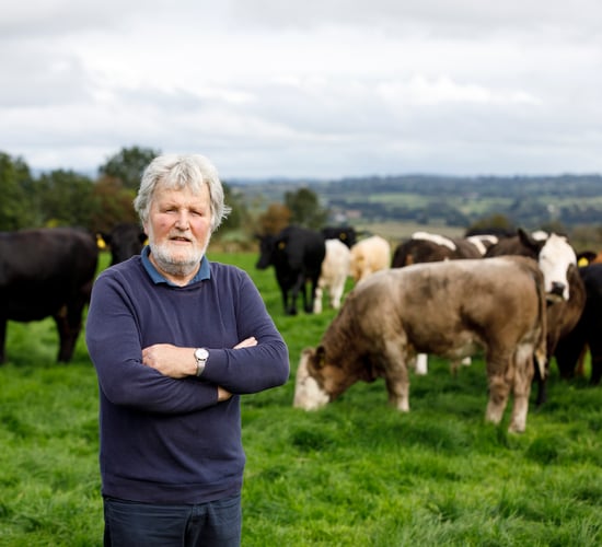 Why this Co. Waterford farmer transitioned from dairy to beef - and 'couldn't be happier'