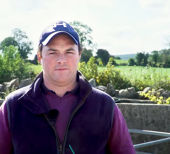 Video: Sheep lameness stamped out with the 5-point plan