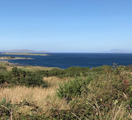 3 lots with site potential to go under the hammer in Co. Galway