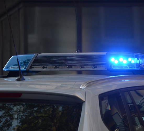 Fermanagh man arrested for possible badger baiting
