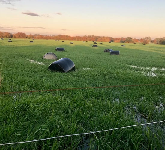 Grass growth: Heavy rain forces some farmers to house and feed silage