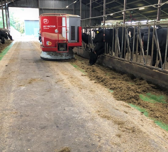 Removing cows from Ireland would be 'bad' for the world - Lely