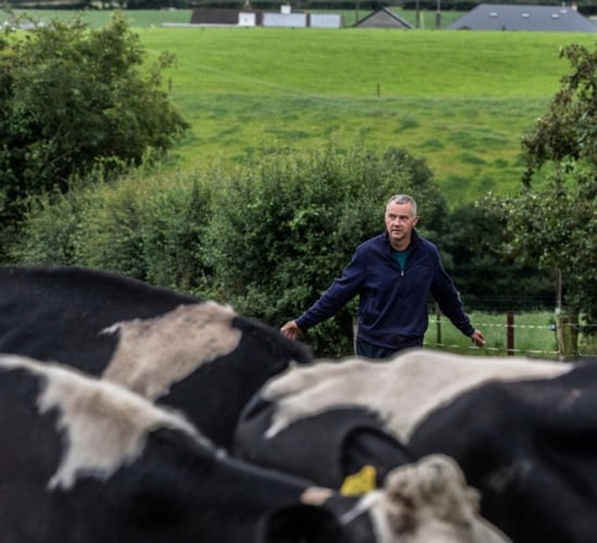 Opinion: What insurer would cover the enforced shut-down of a milk processor?