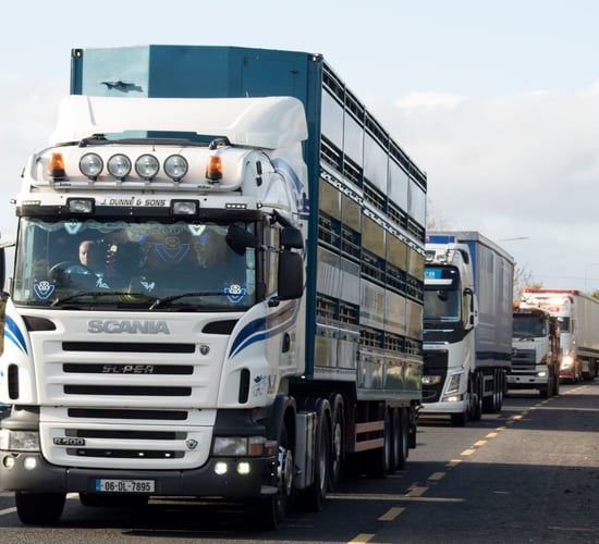 SIPTU calls for free trade agreement which 'delivers for working people'