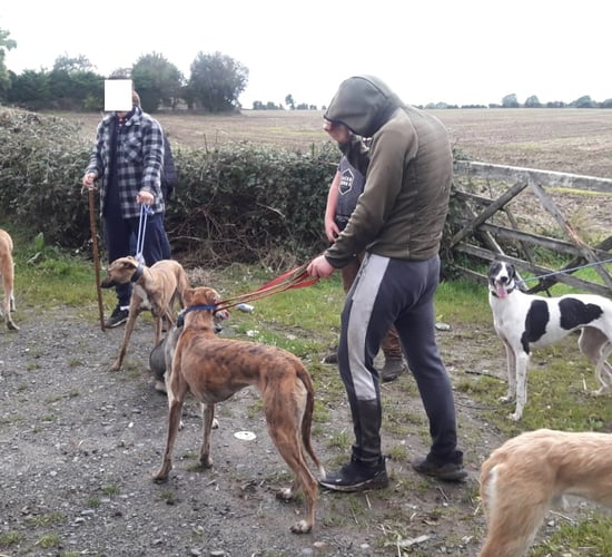 3 poachers detained by Gardaí in Kildare