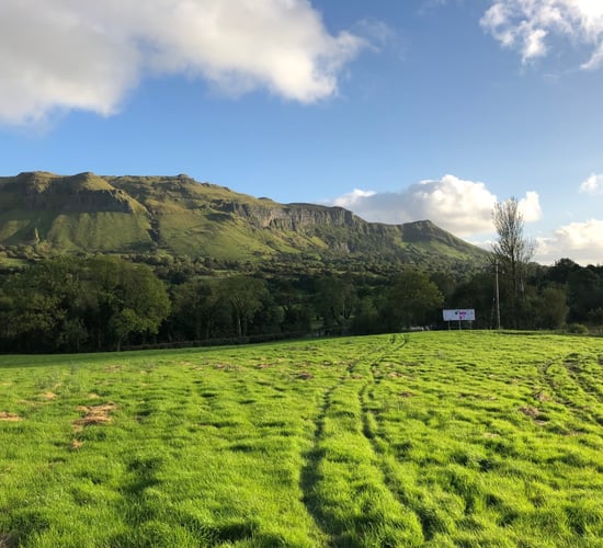Sheep grassland management: Closing up paddocks for next spring a priority
