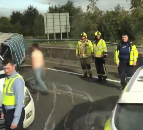Trailer carrying cattle overturns on motorway