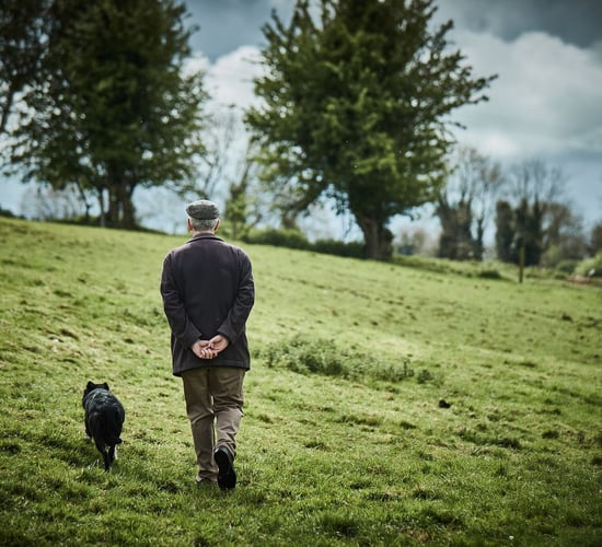 'No excuse' for Fair Deal legislation delay - IFA