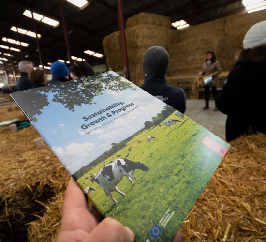 '4 in 10 consumers believe they are well informed about sustainability' - new research