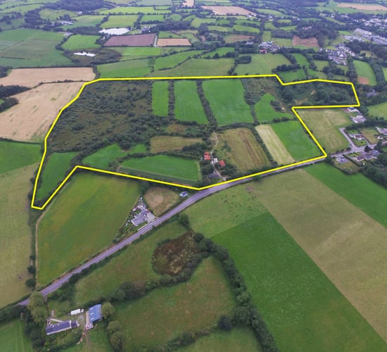 55ac residential farm in west Cork 'generating massive interest' to date