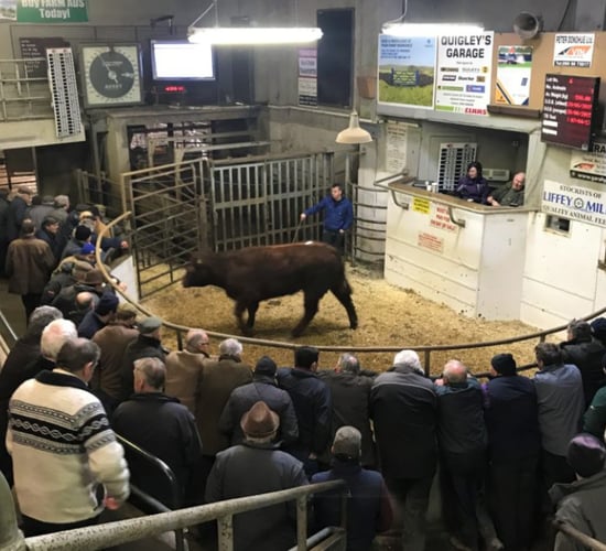 WRC upholds three complaints made by Ballinasloe Mart worker