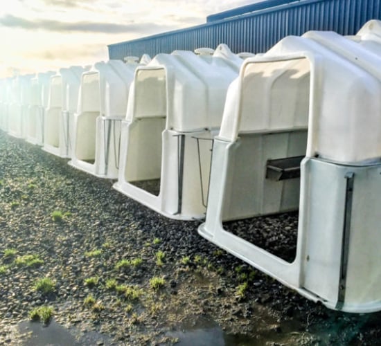 Alternative options to building a new calf shed
