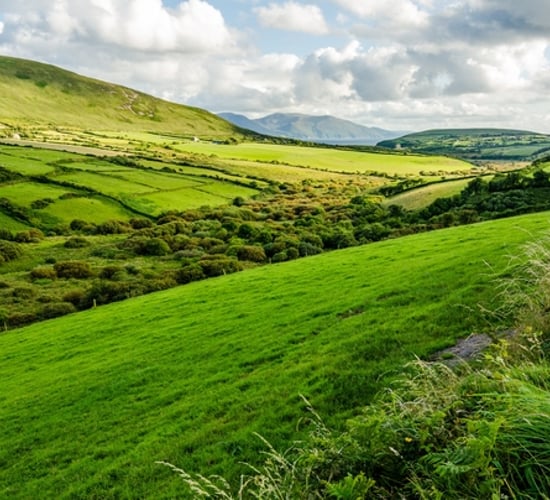 EU environment ministers agree 'partial approach' on proposed climate law